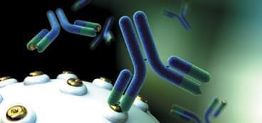 抗體藥物開發服務 生物技術賦能創新療法研發